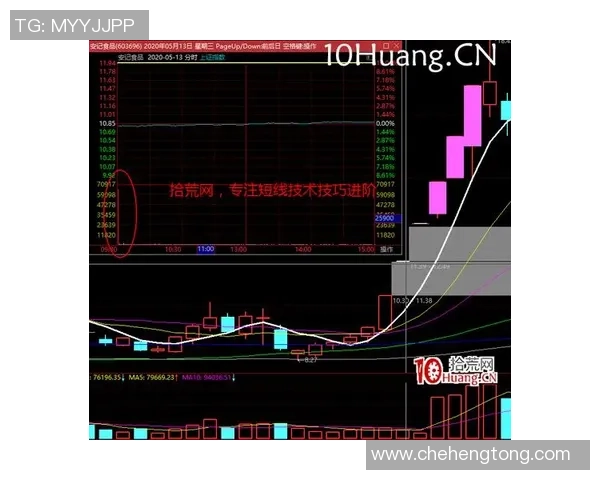 猛龙与骑士对决分析大小分走势及胜负预测