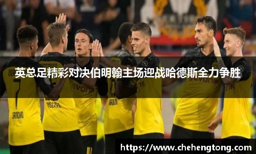 英总足精彩对决伯明翰主场迎战哈德斯全力争胜